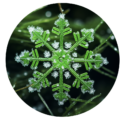 GreenBanana SEO Agency - Digital Snowflake