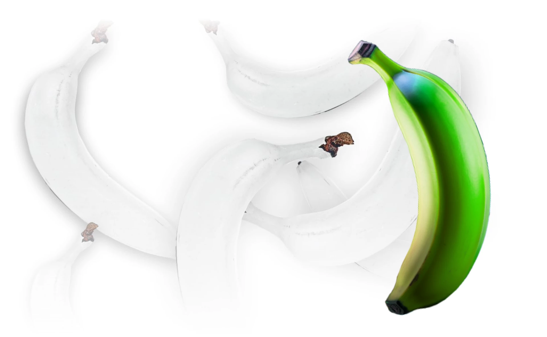 Get Experts with Our White Label Services