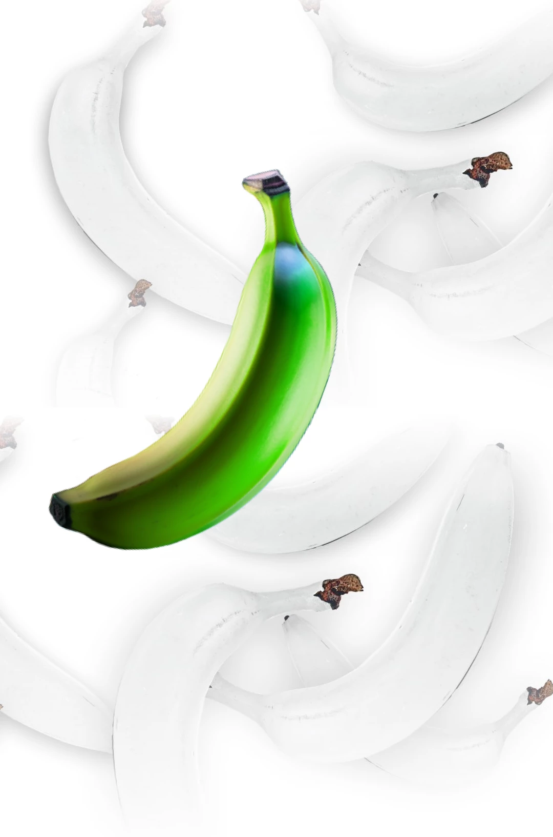 Get Experts with Our White Label Services